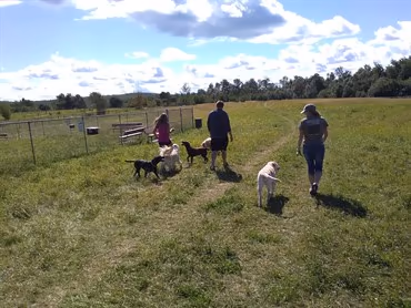 Jean Duluth Dog Park